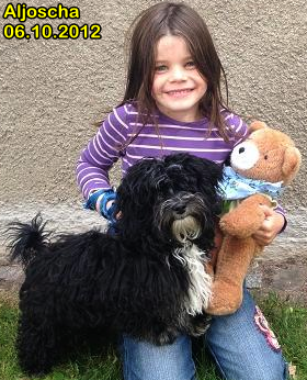 Aljoscha 346x280