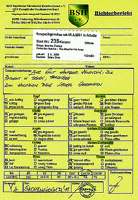 Bericht 01