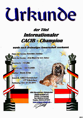 CACIB