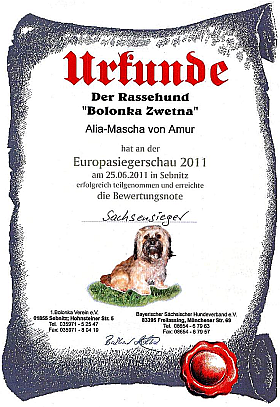 Sachsensieger