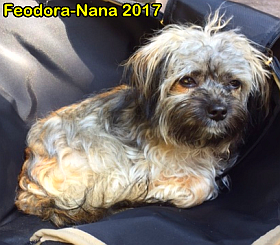 Feodora 245x280