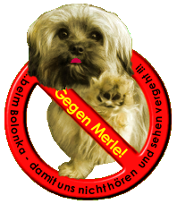 No Merle Logo